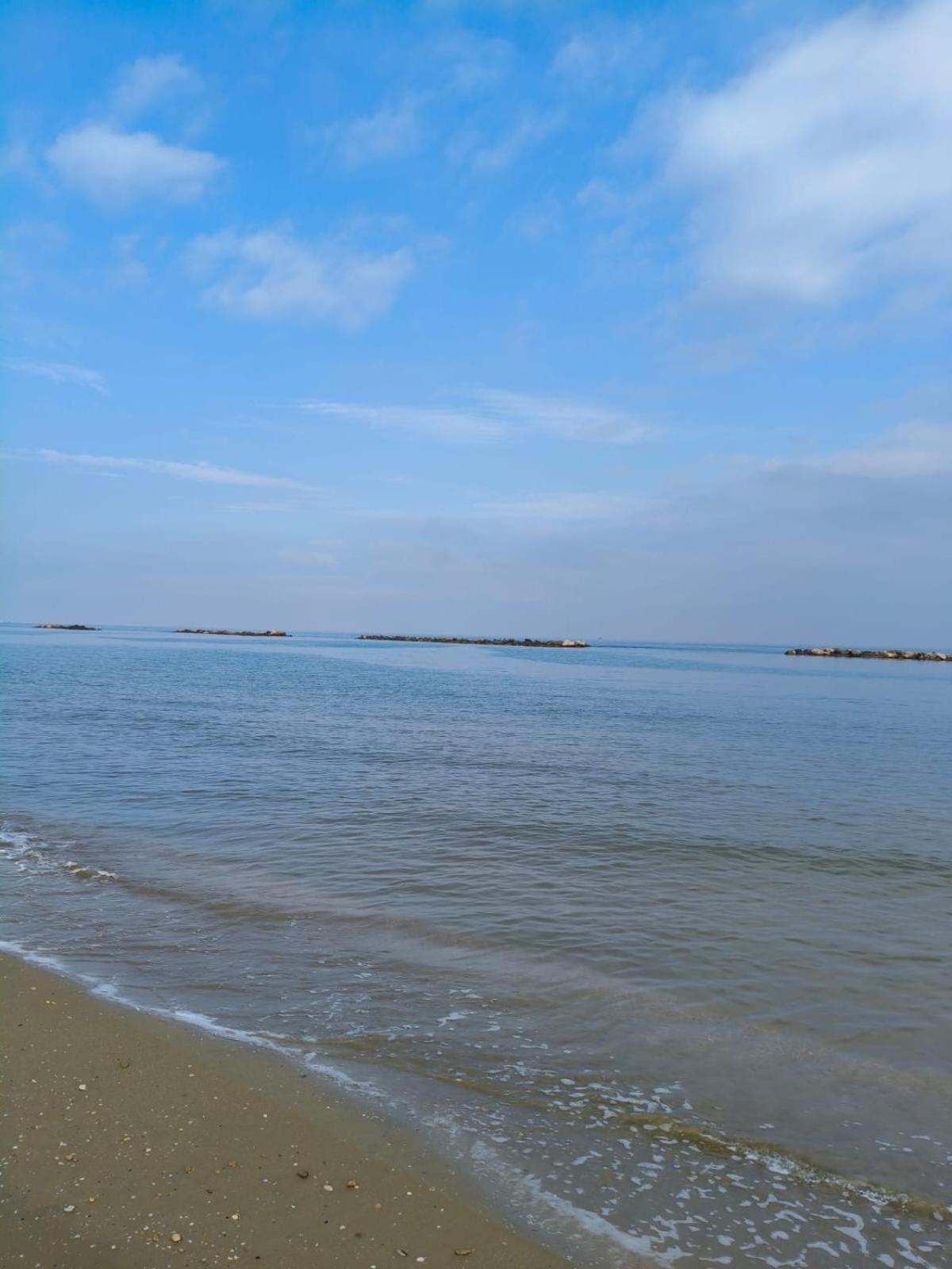 Apartment Alcione113 *
